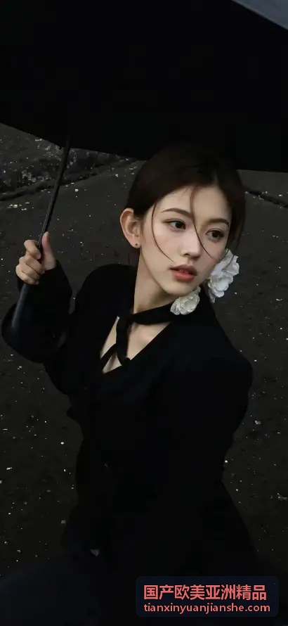 国产欧美亚洲精品技术架构